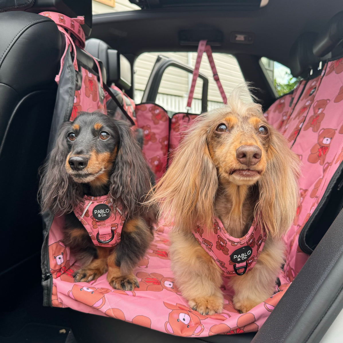 ZippyPaws Adventure Car Hammock For Dogs - Tampa, FL - Health Mutt