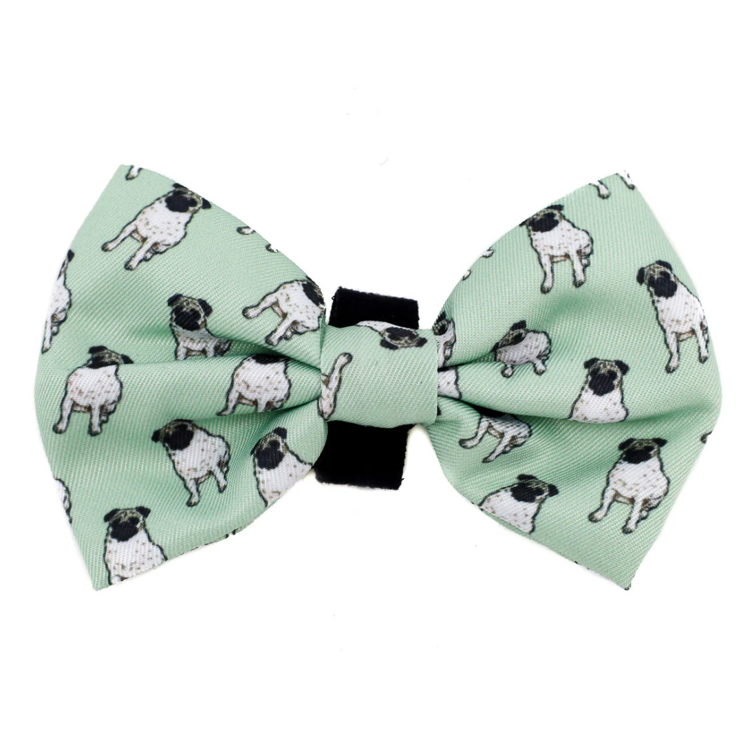 Pug: Bow Tie