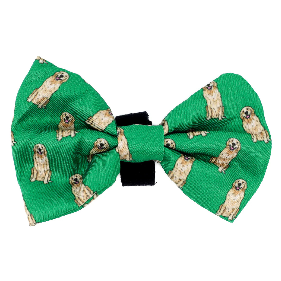 Golden Retriever: Bow Tie