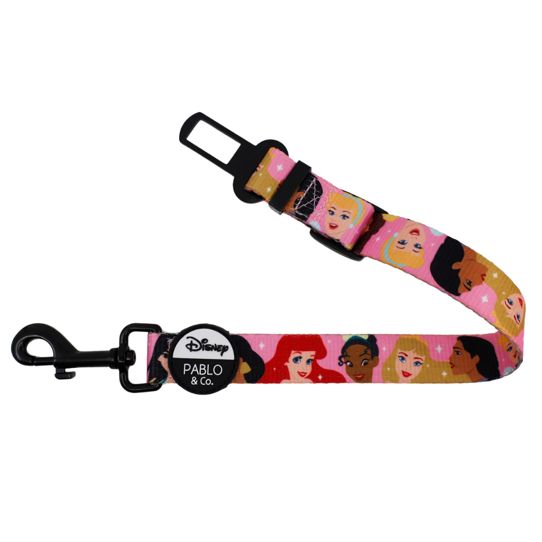 Disney Princesses: Car Restraint