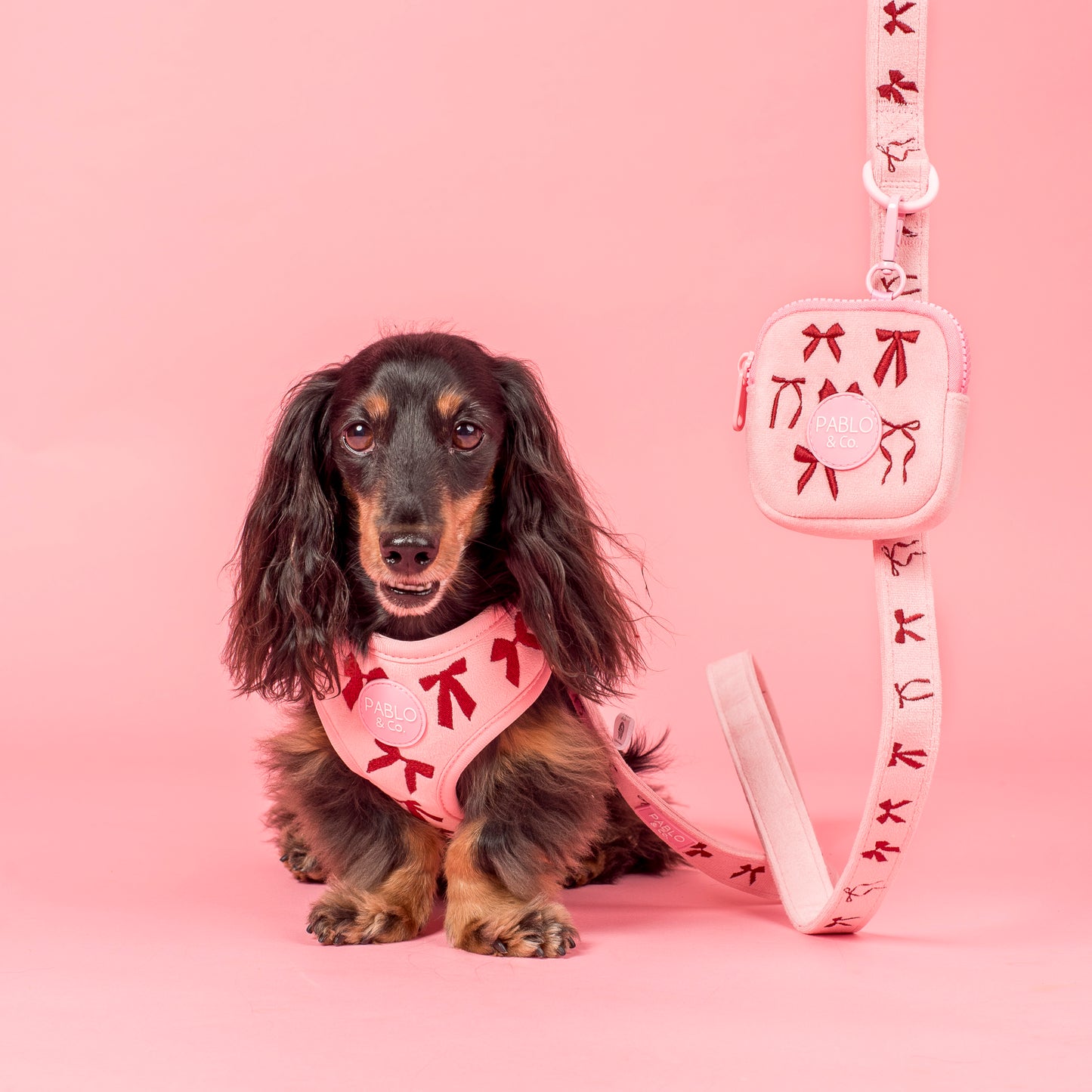 Velvet Blush Bows: Treat Pouch