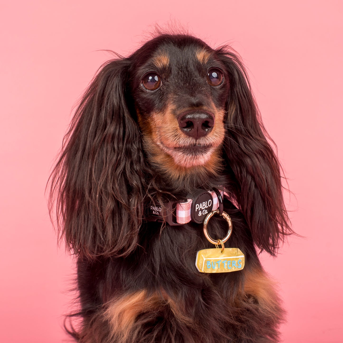 Personalised Pet ID Tag: Butter