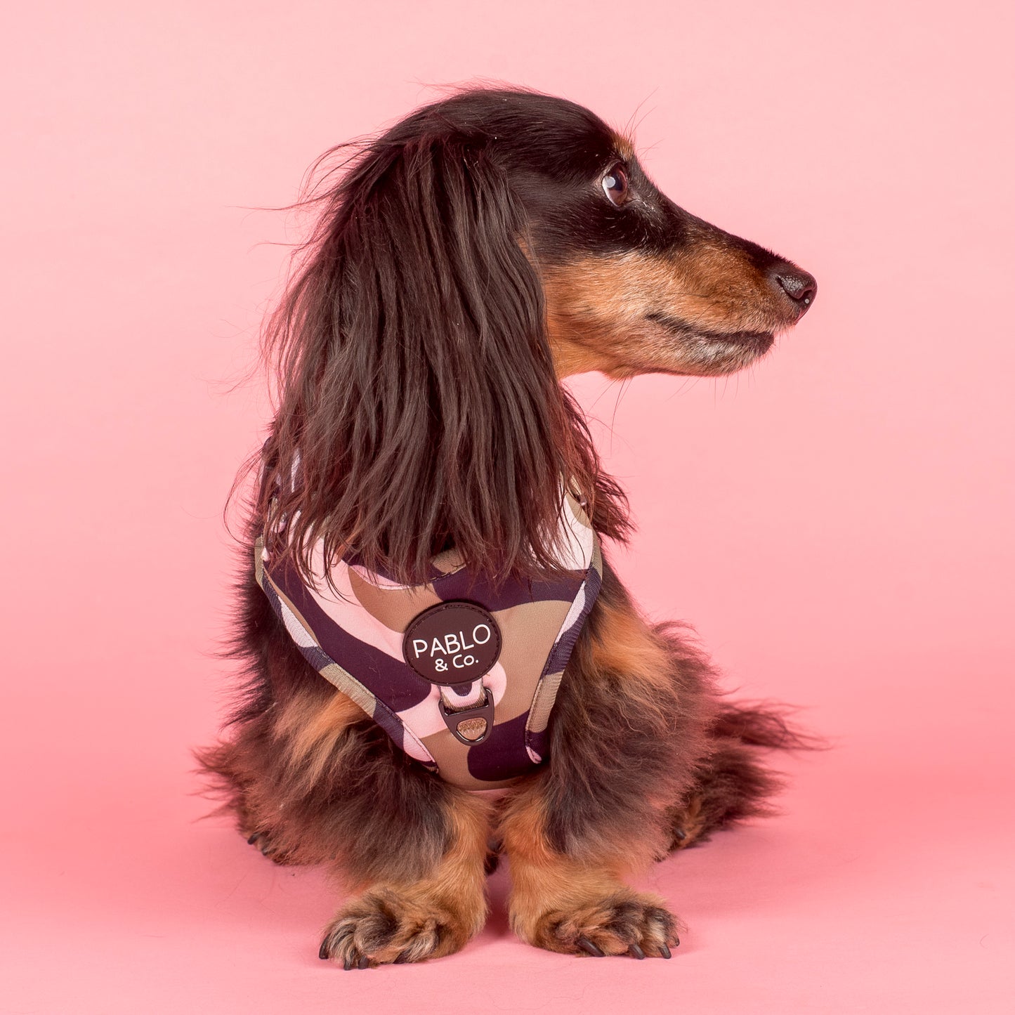 Navy Wavy: Adjustable Harness