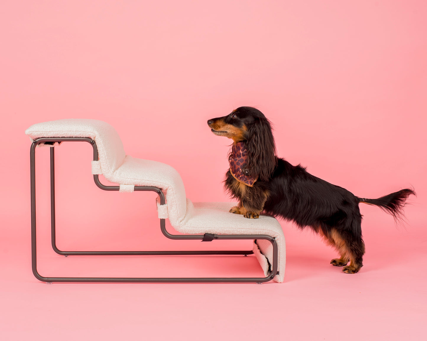 Pet Stairs for Cats & Dogs - White Boucle