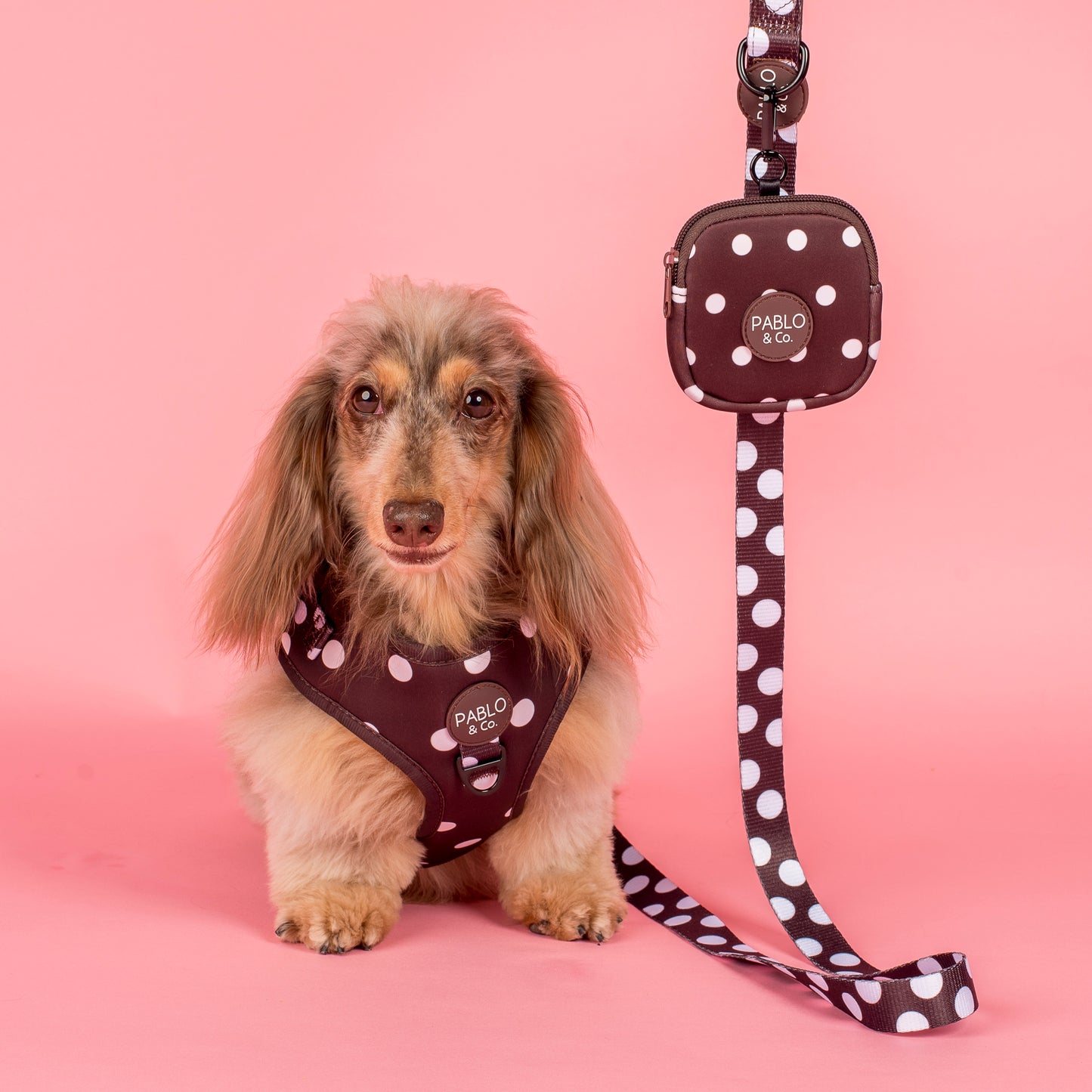 Polka Dots: Dog Leash