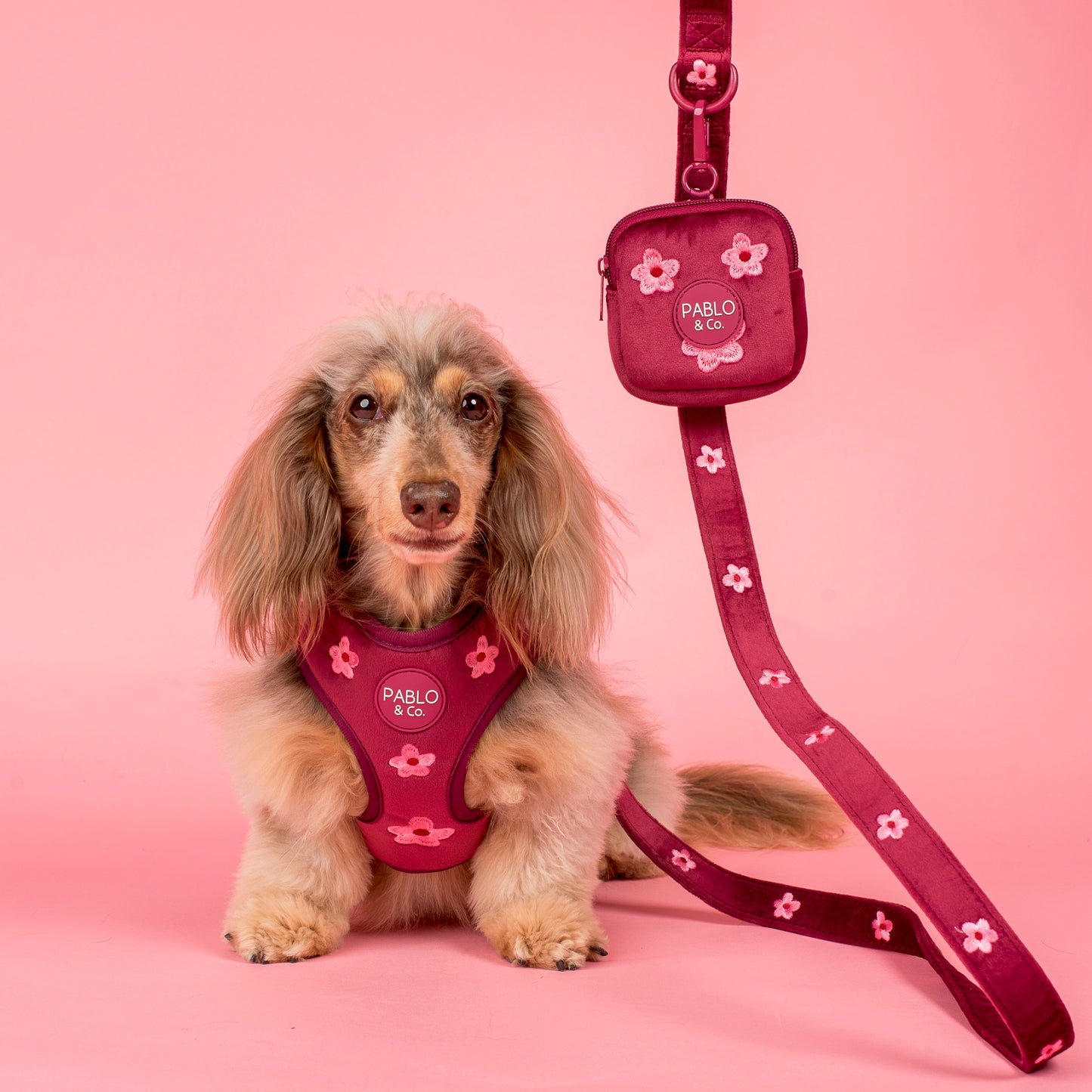 Bloom Baby Bloom: Velvet Dog Leash