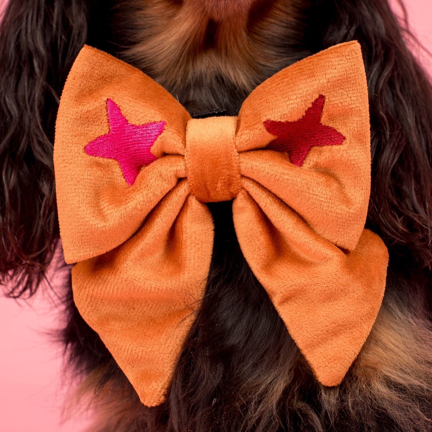 You're A Star: Velvet Sailor Bow