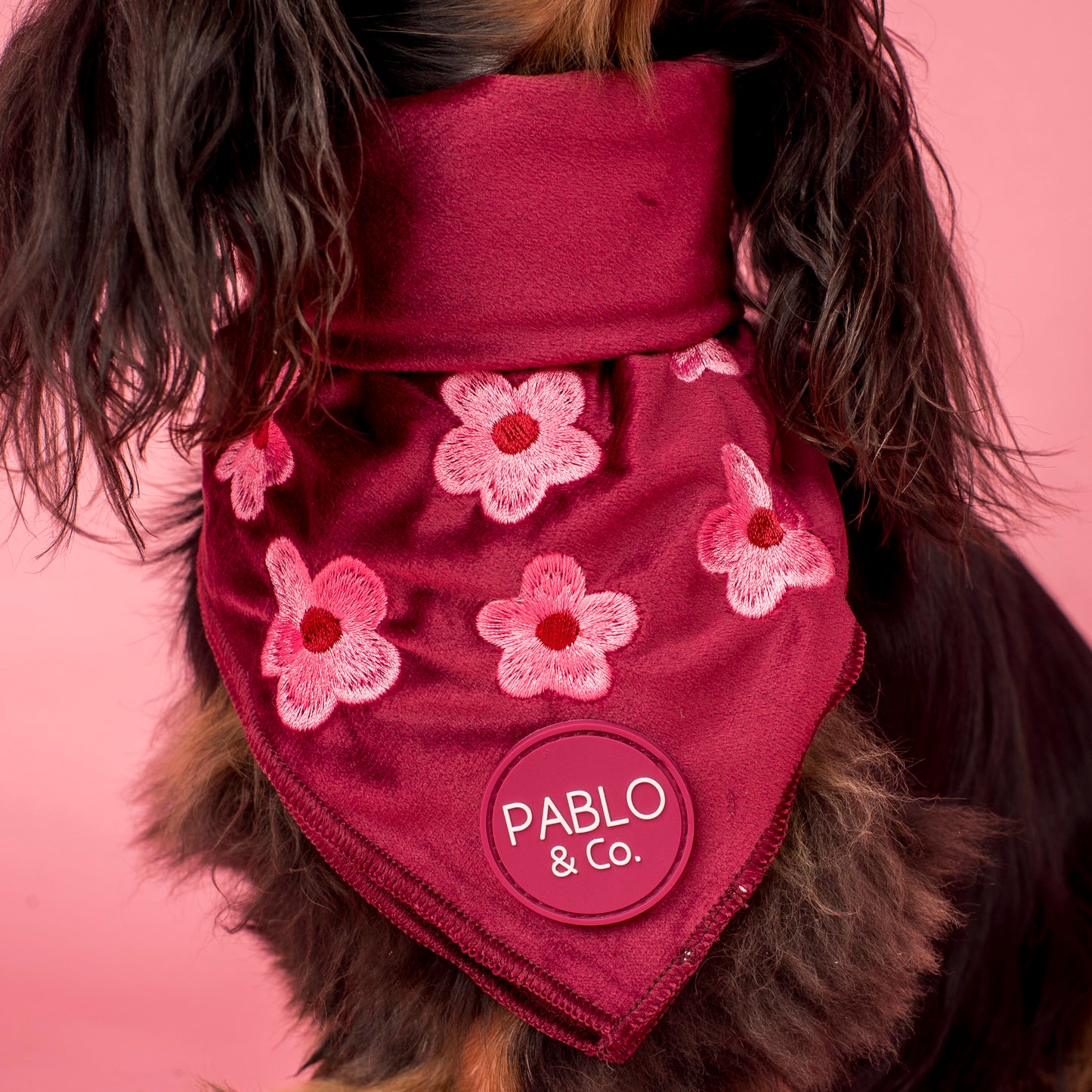 Bloom Baby Bloom: Velvet Dog Bandana