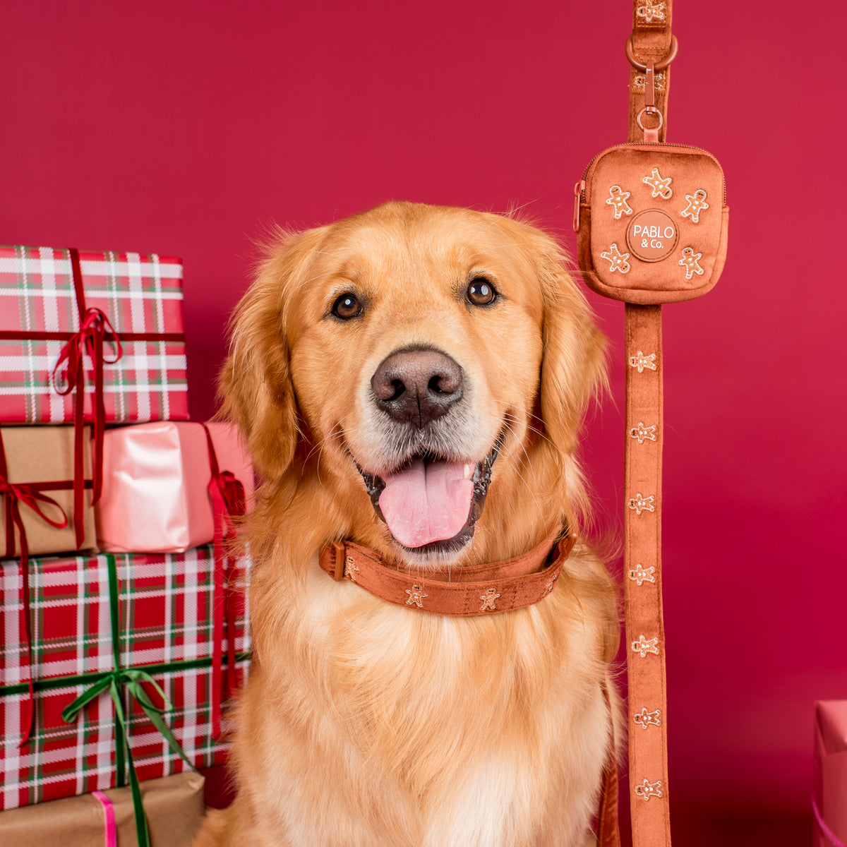Gingerbread: Velvet Collar