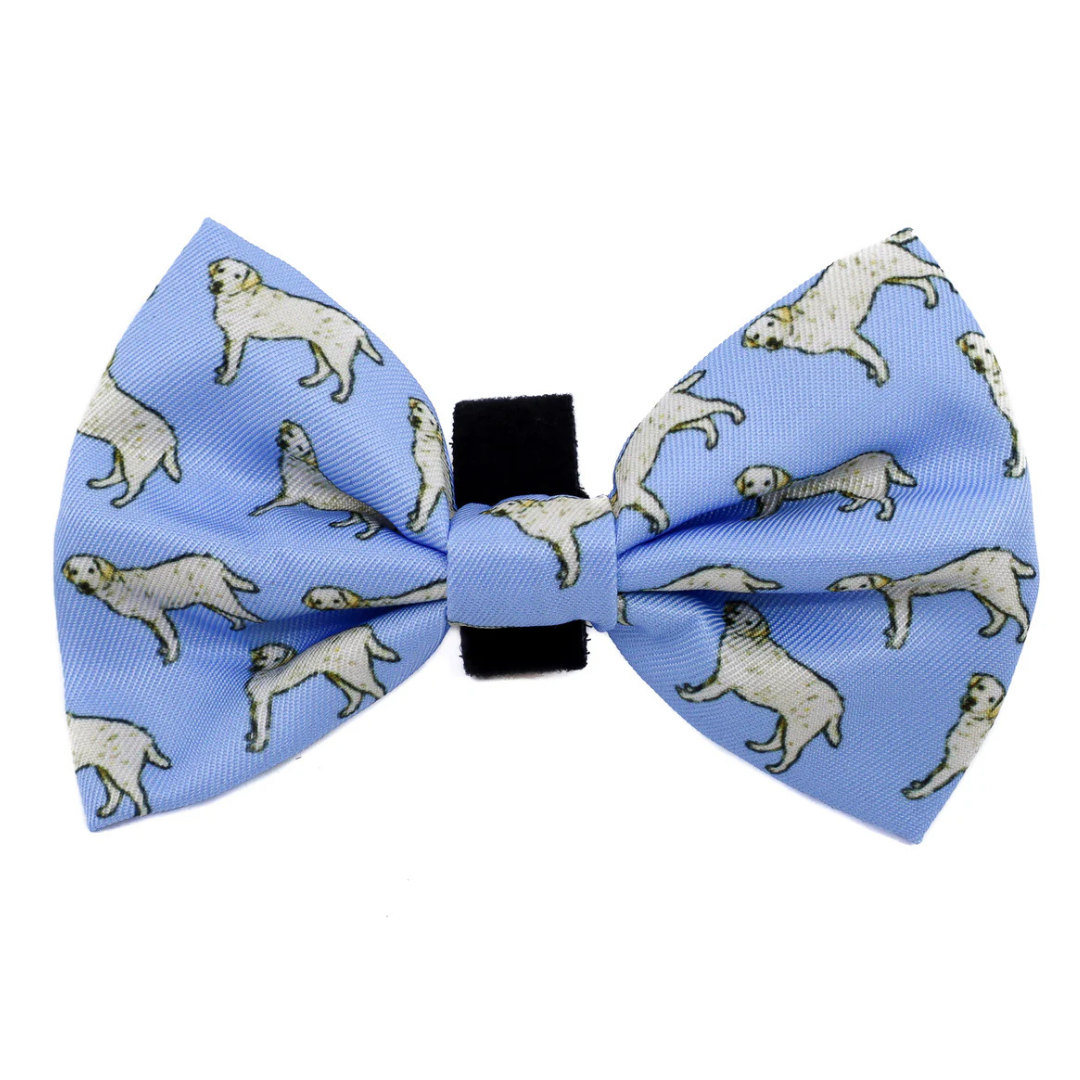 Labrador: Bow Tie