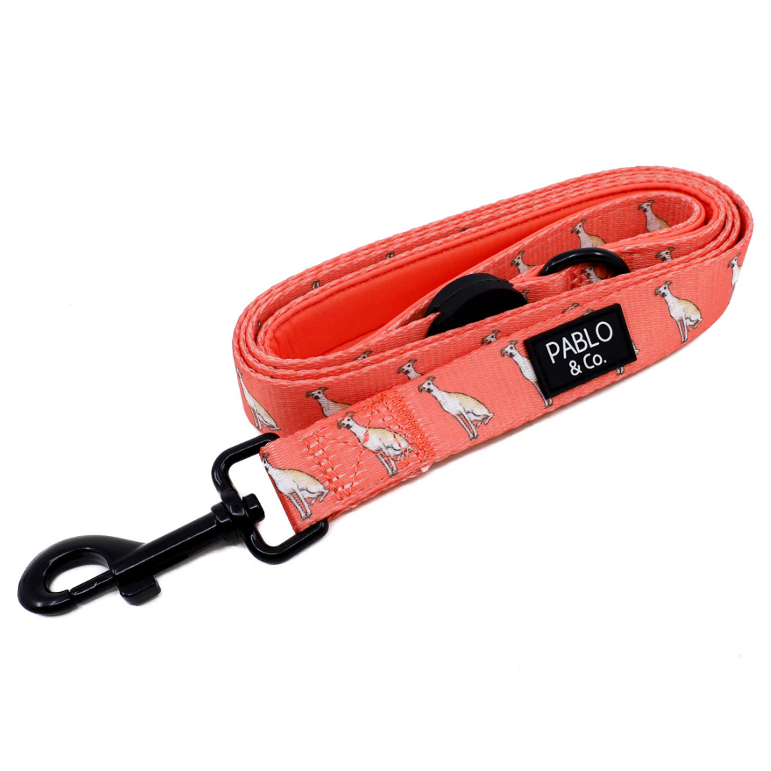 Italian Greyhound: Dog Leash