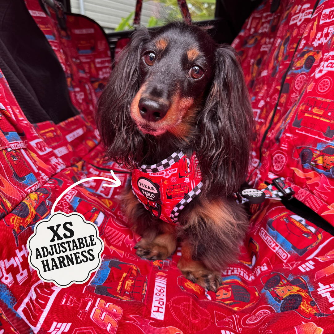 Cars: Adjustable Harness