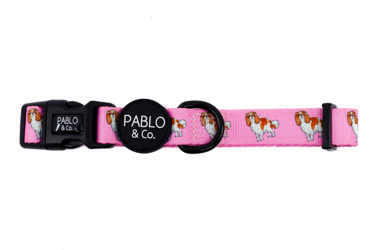 Cavalier King Charles Collar Pablo & Co. Boutique