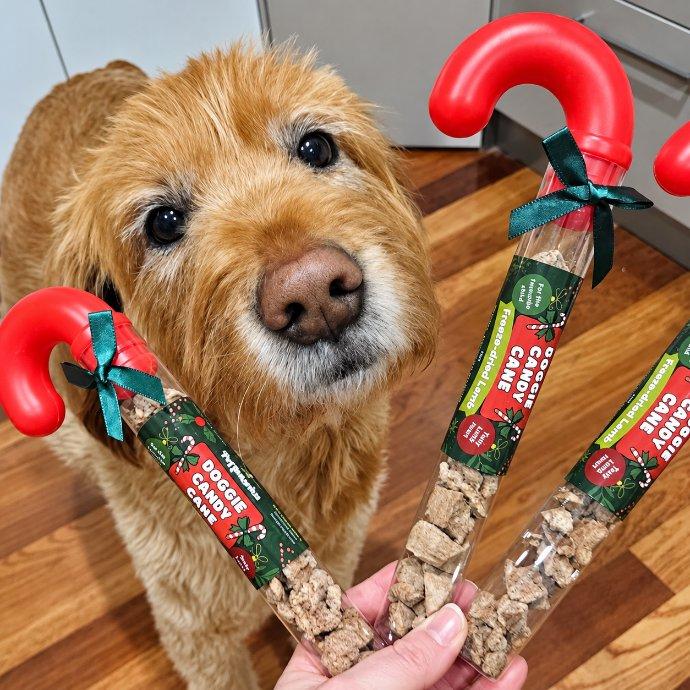 Pet Botanica Christmas Candy Cane - Freeze Dried Lamb