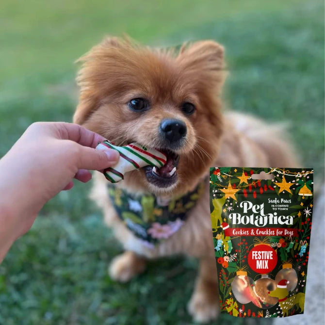 Pet Botanica Festive Dog Treats