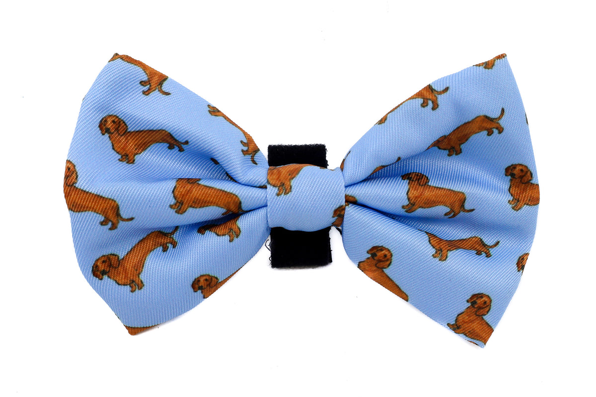 Dachshund Bow Tie Pablo & Co. Boutique