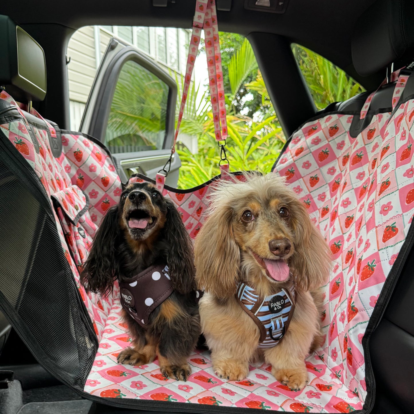 Strawberry Patch: Deluxe Hard Base Hammock Car Seat Cover