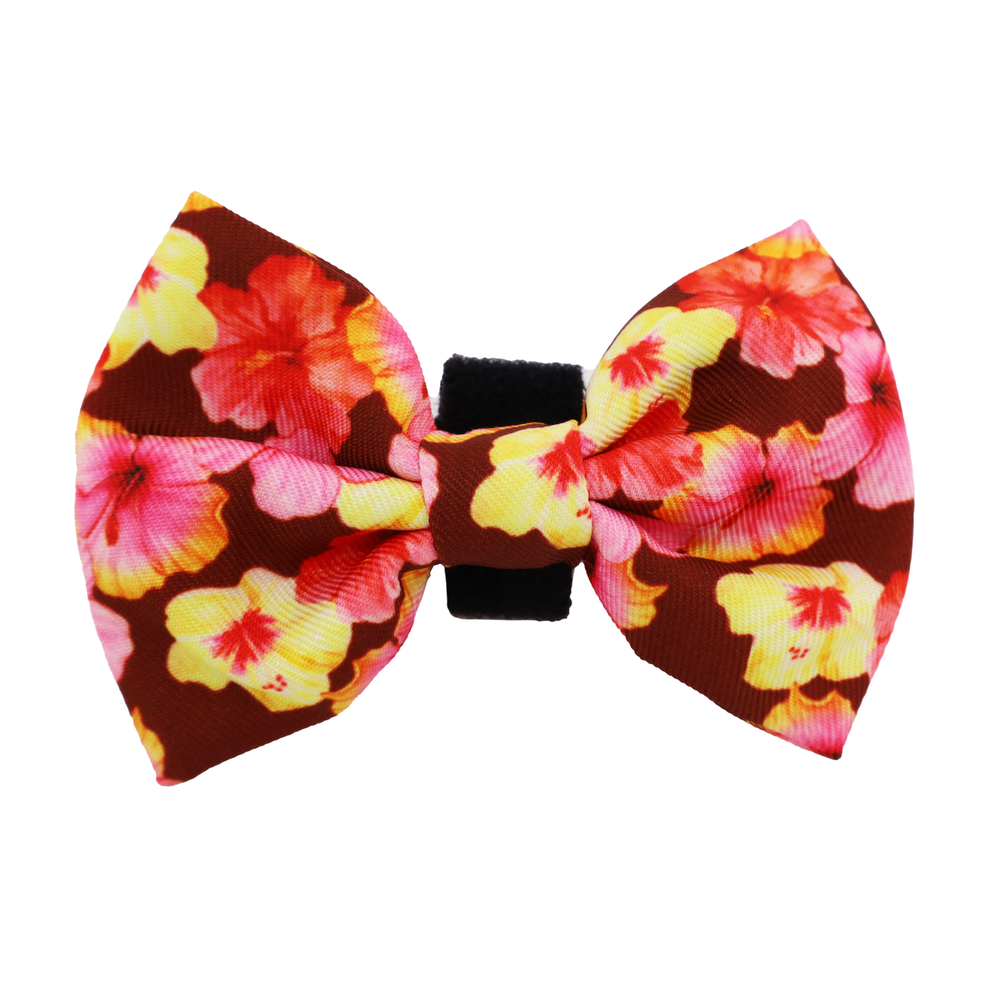 Hibiscus: Bow Tie
