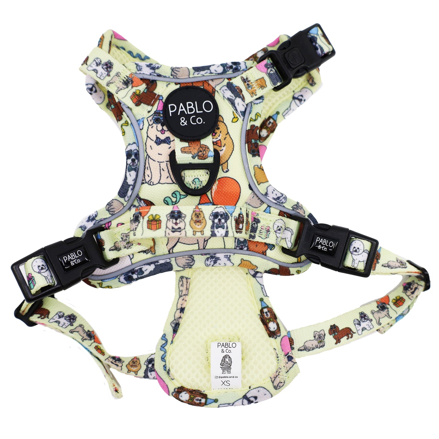 Party Dawgs: No Pull Adventure Harness