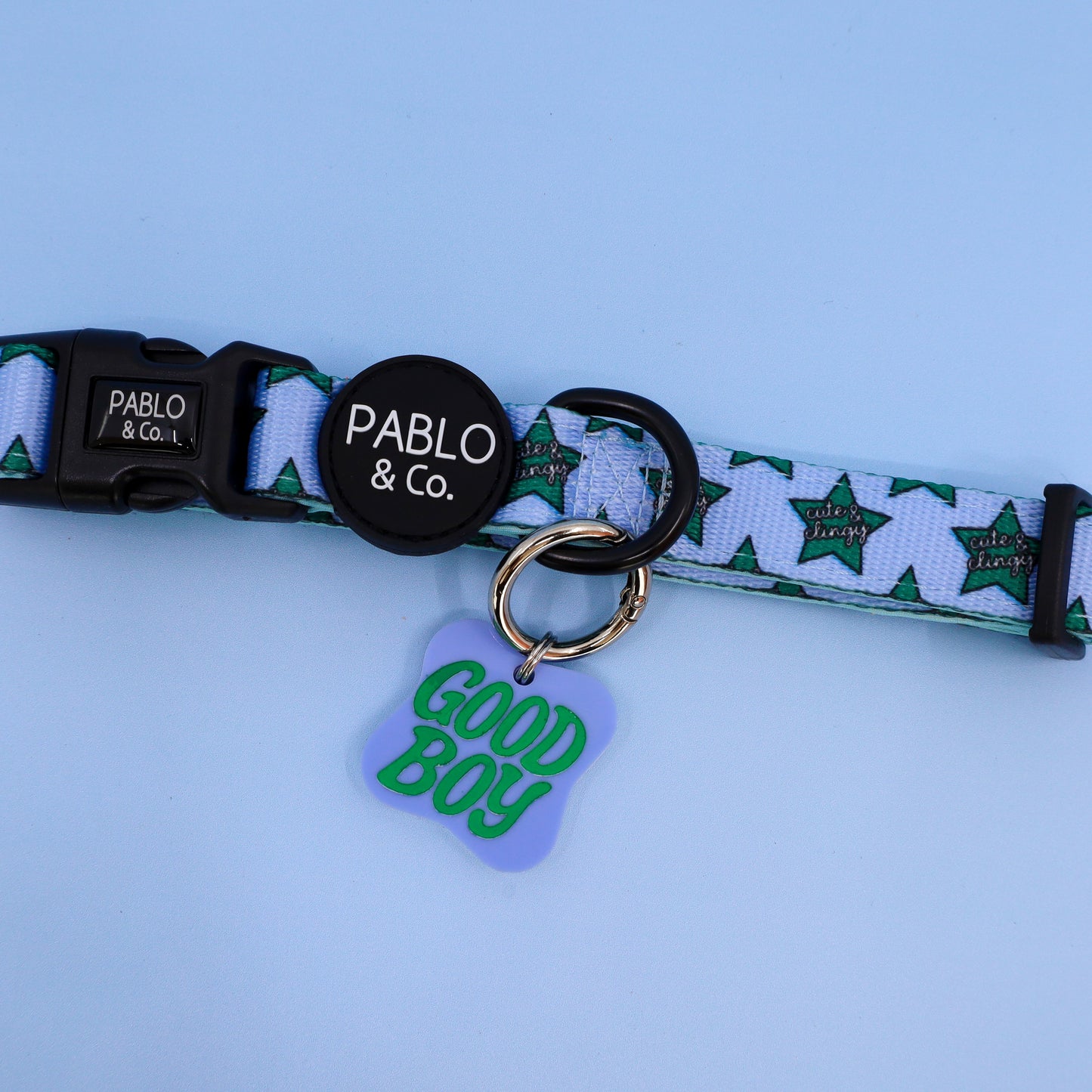 Personalised Pet ID Tag: Good Boy