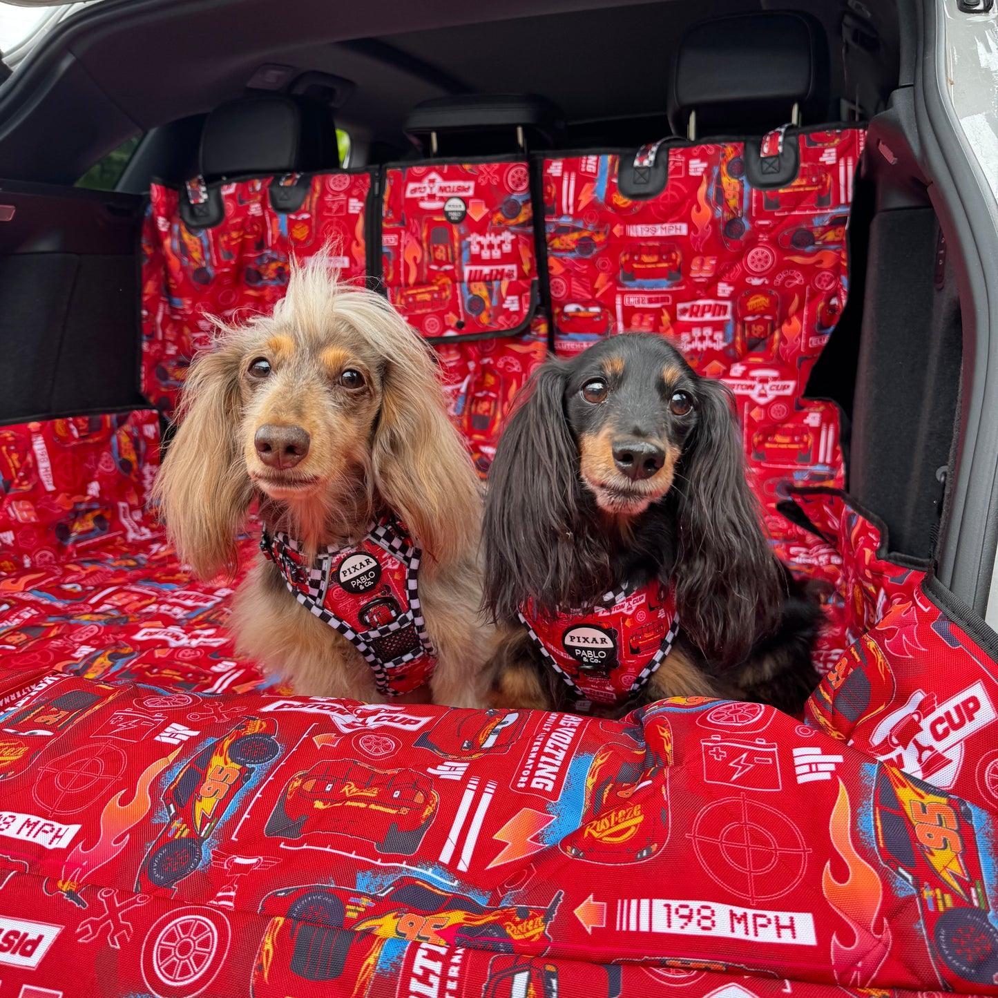 Cars: Deluxe Car Boot Cover