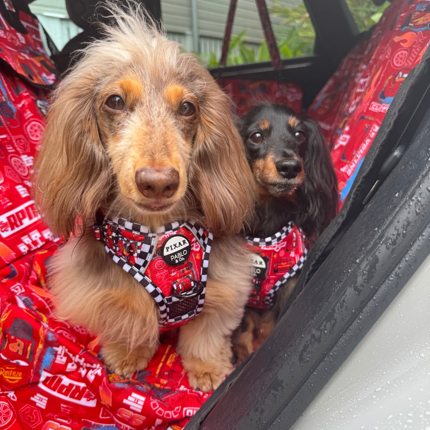 Cars: Deluxe Hammock Car Seat Cover