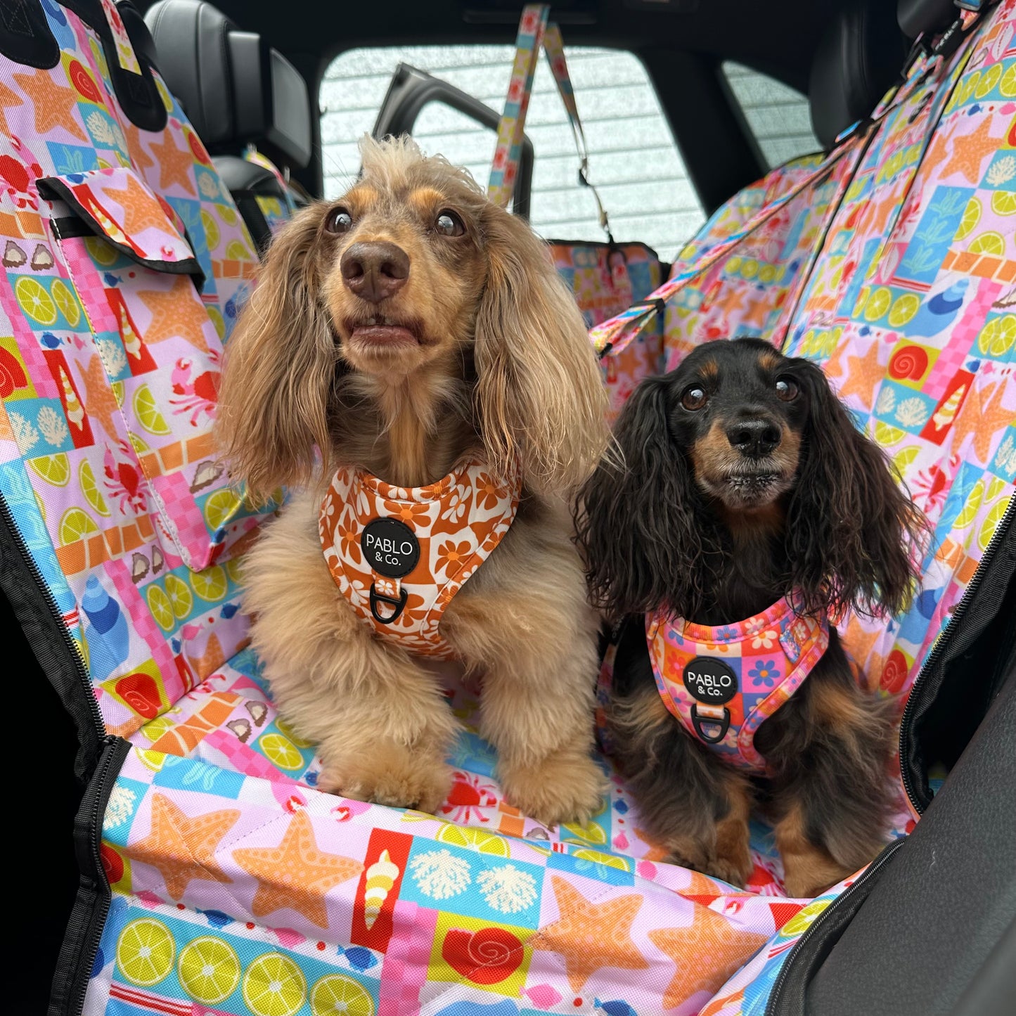 Mykonos: Hammock Car Seat Cover