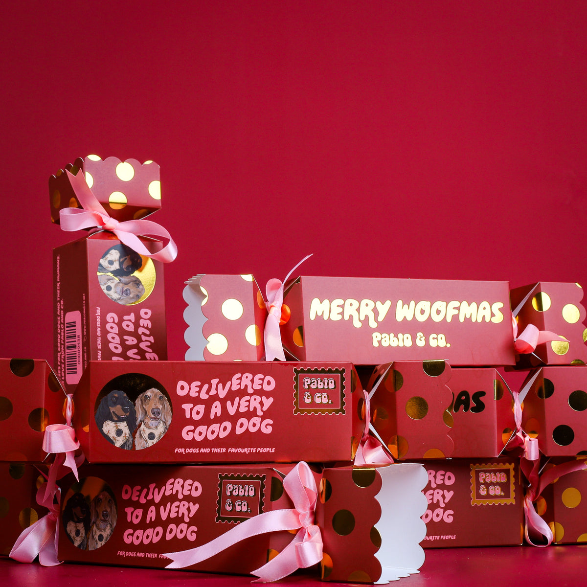 Christmas Bon Bon for Dogs