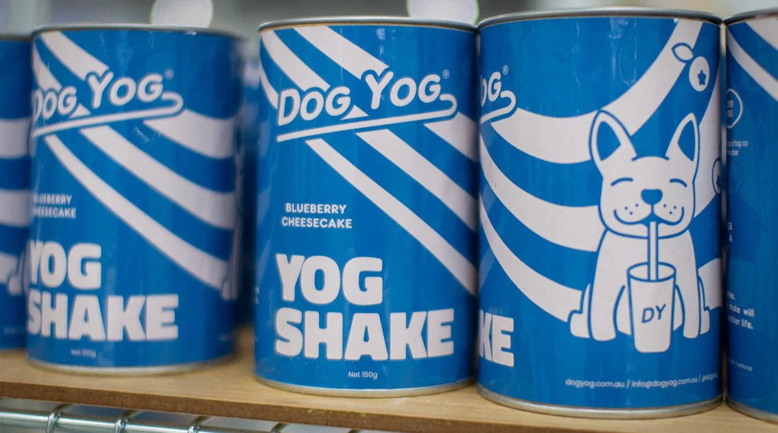 Dog Yog Shake: Blueberry Cheesecake