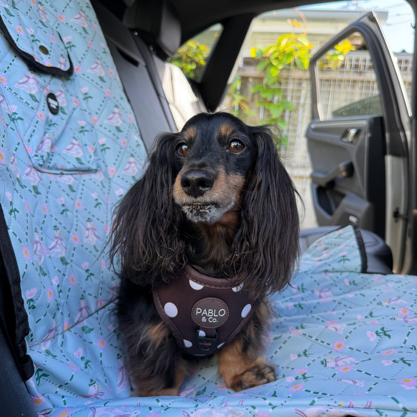 Silly Little Goose: Deluxe Single Car Seat Cover