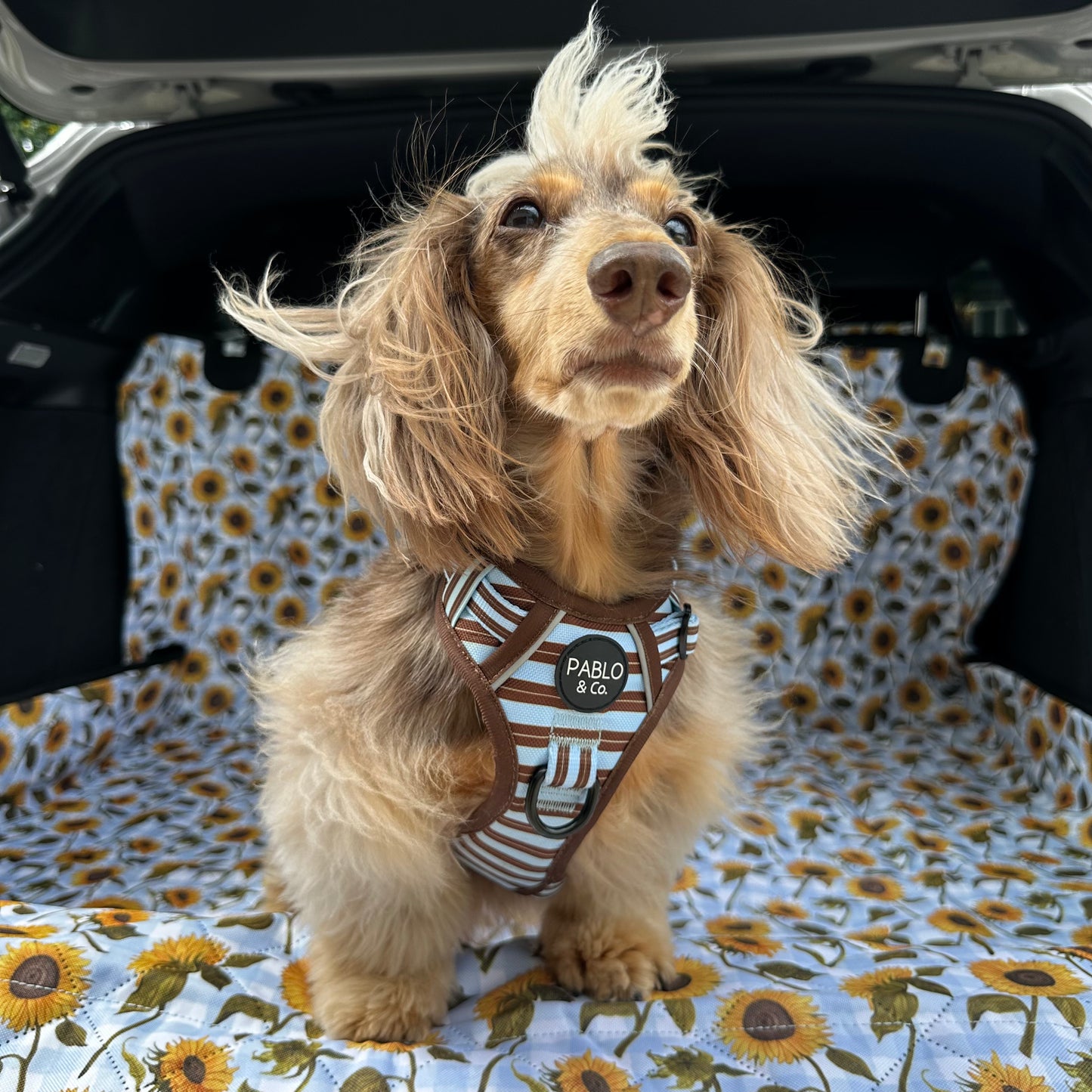 Sunny Sunflowers: Deluxe Car Boot Cover