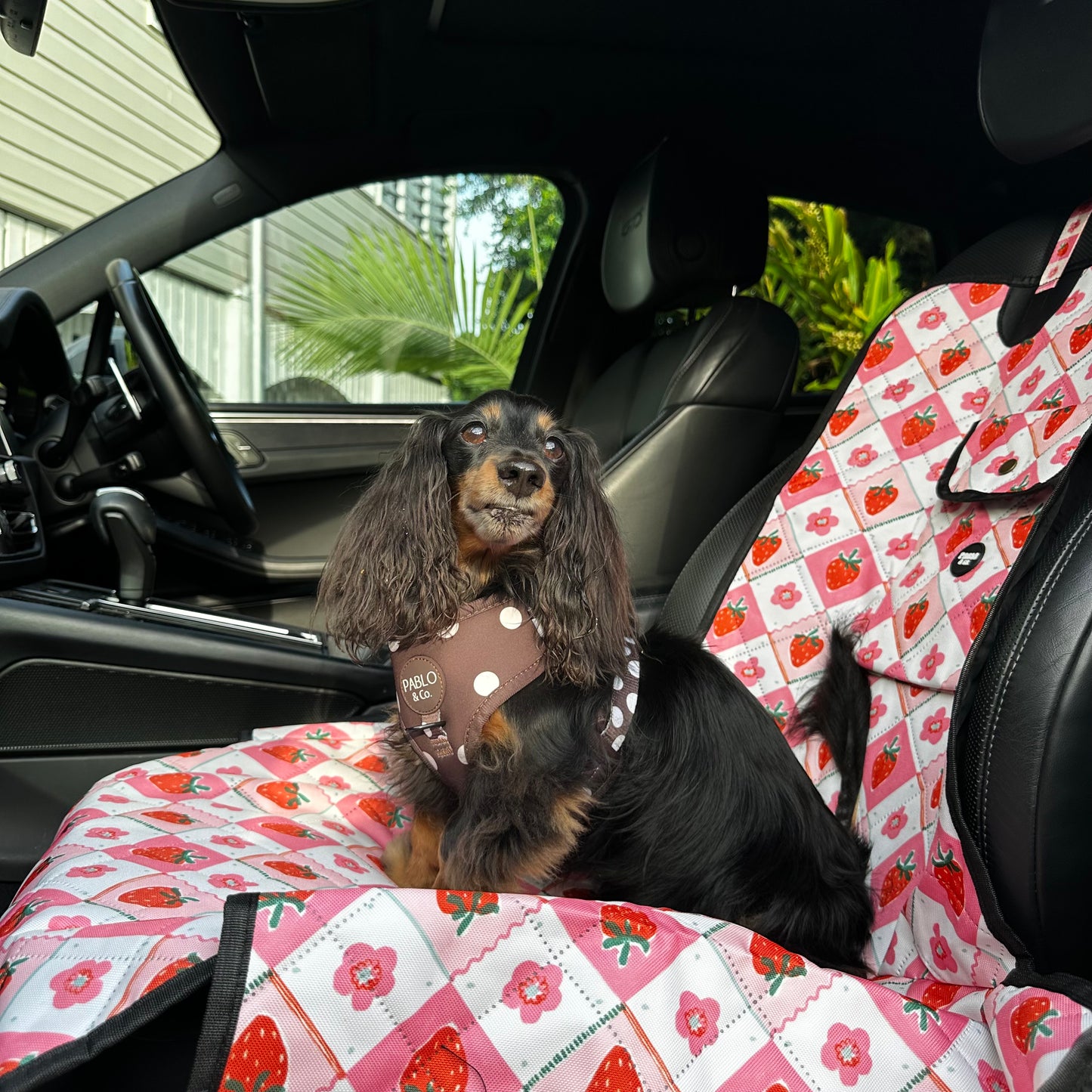 Strawberry Patch: Deluxe Single Car Seat Cover