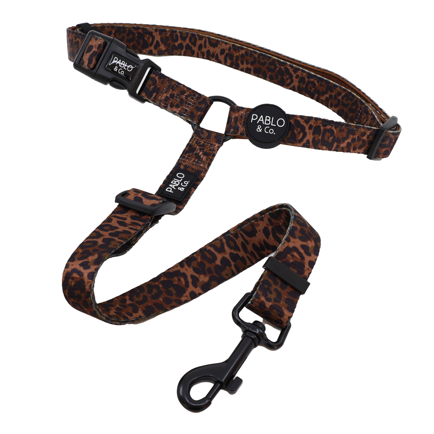 Leopard: Headrest Car Restraint