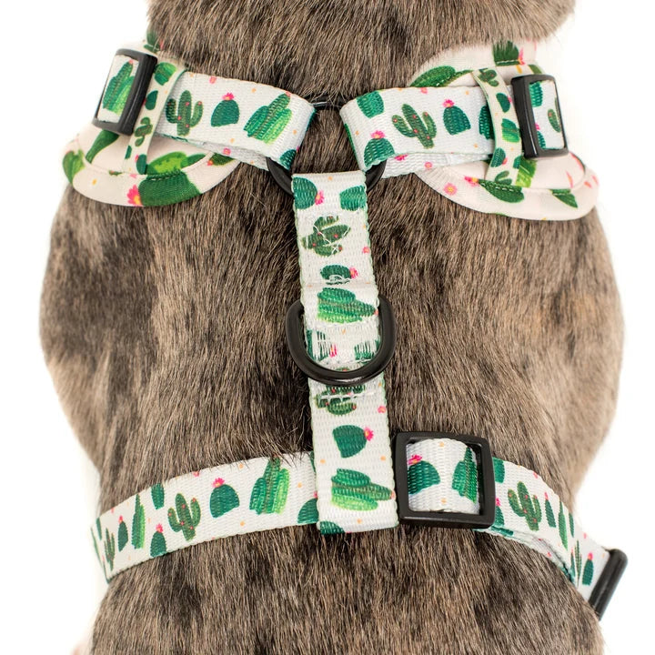Cactus: Adjustable Harness
