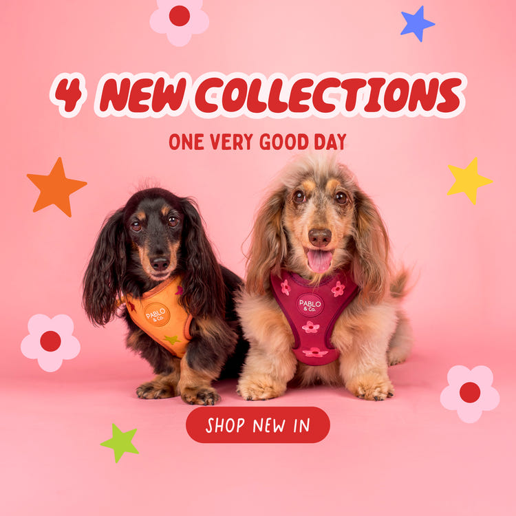Mobile Banner Image