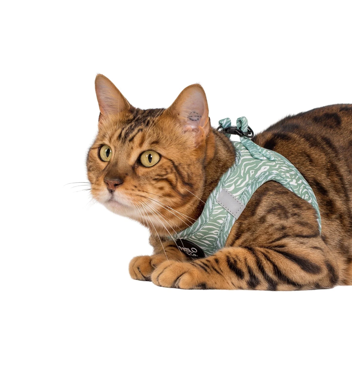 Green Zebra: Step In Cat Harness