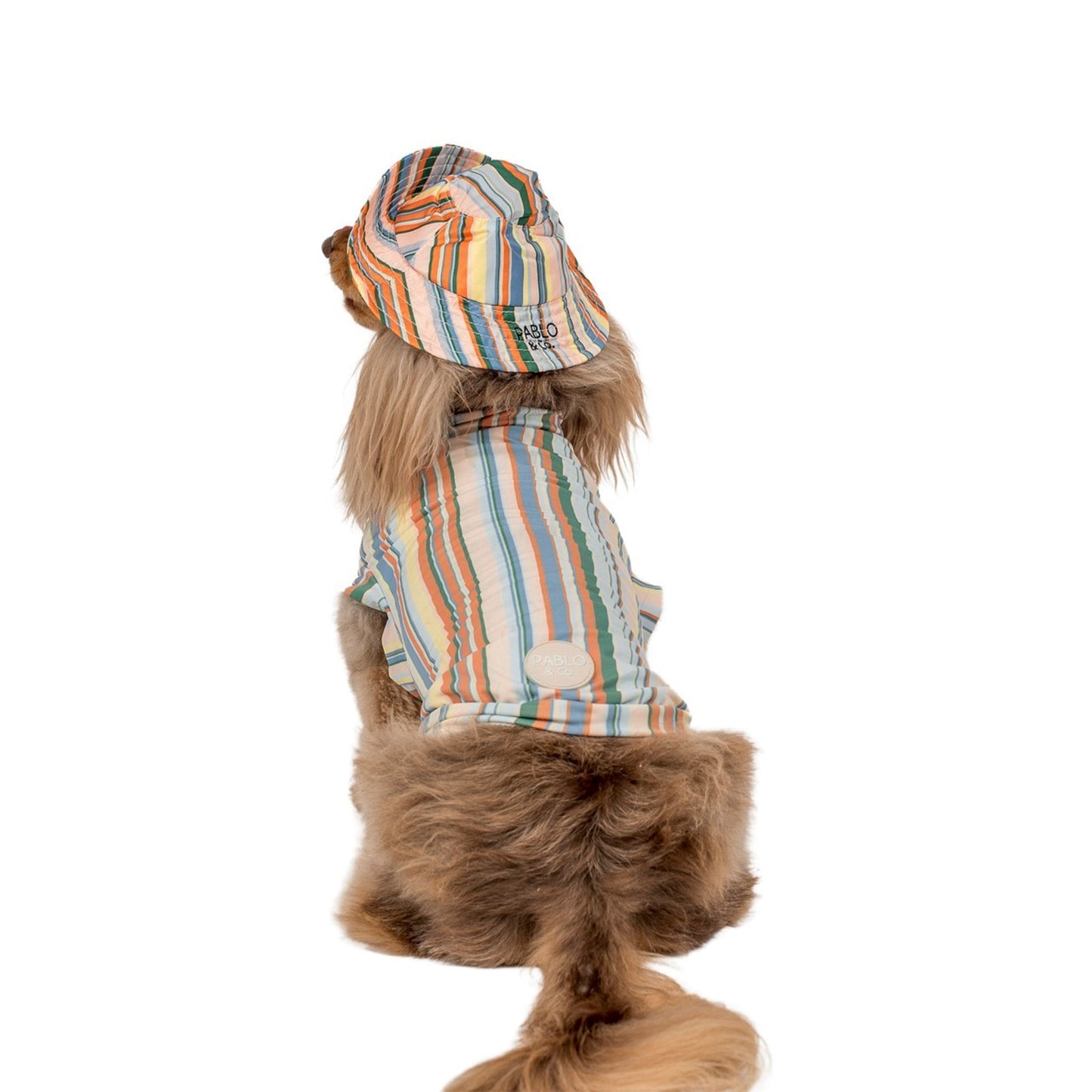 The Cabana: Cooling Dog Rashie