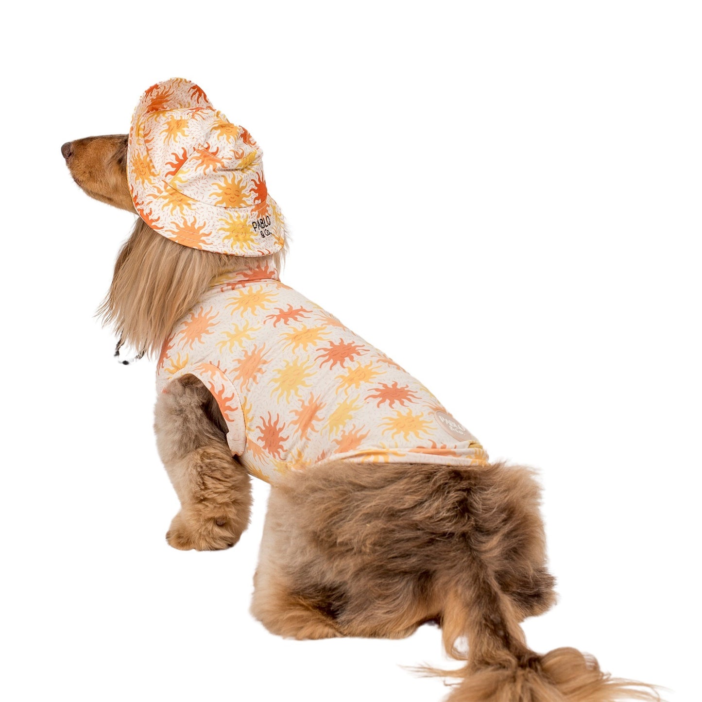 Ray of Sunshine: Cooling Dog Rashie