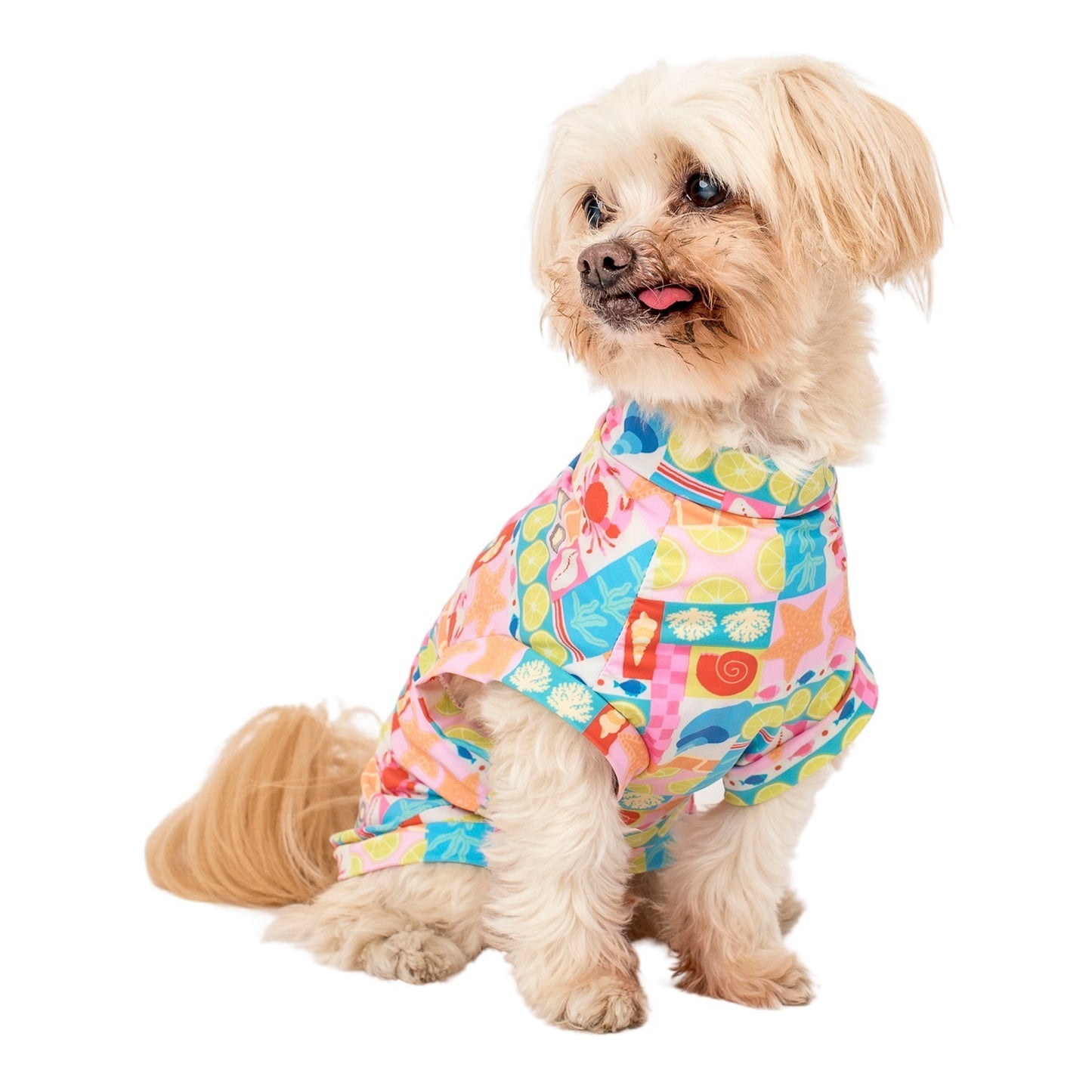 Mykonos: Cooling Dog Rashie