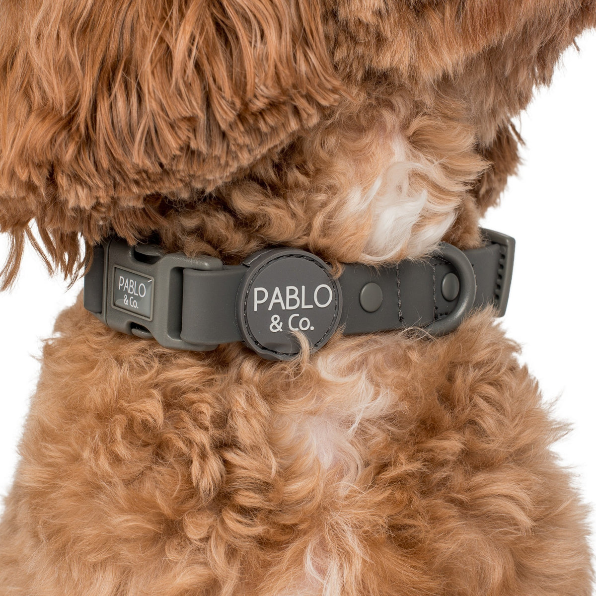 Charcoal Waterproof Collar Pablo & Co. Boutique