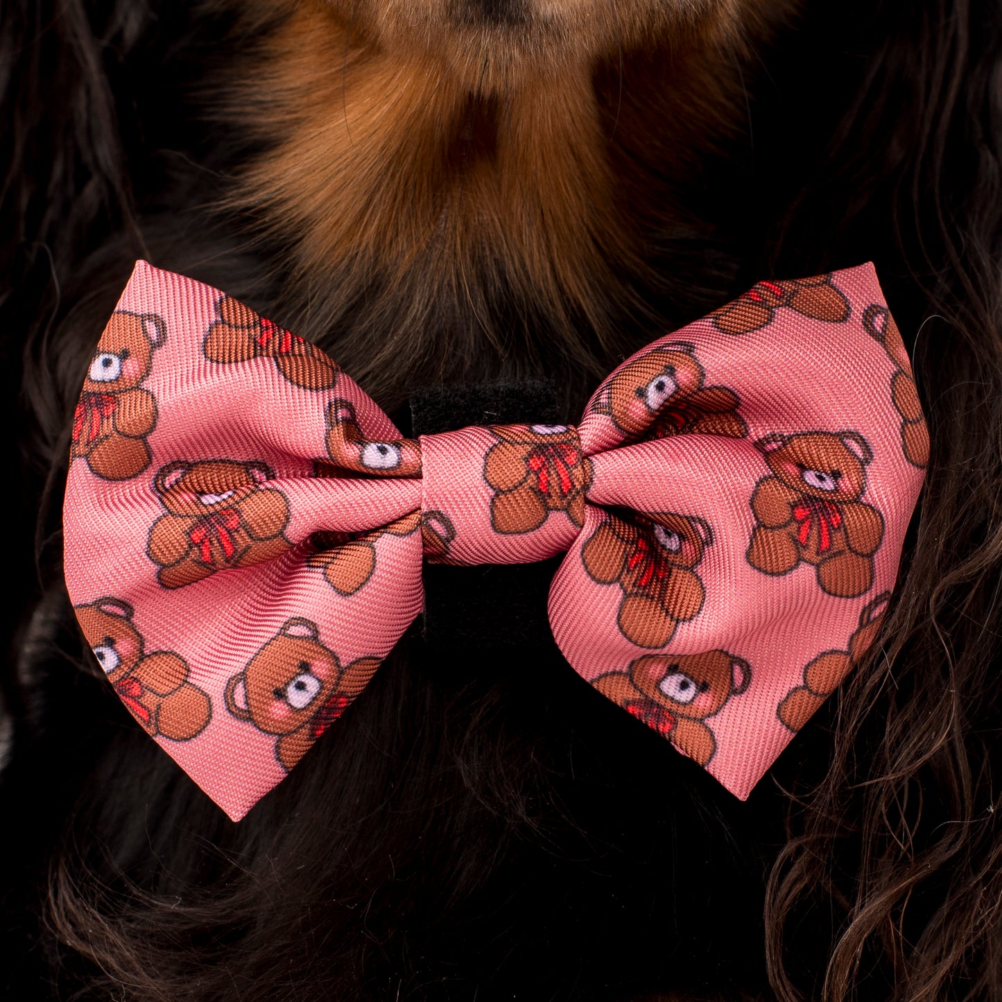 Teddies: Bow Tie