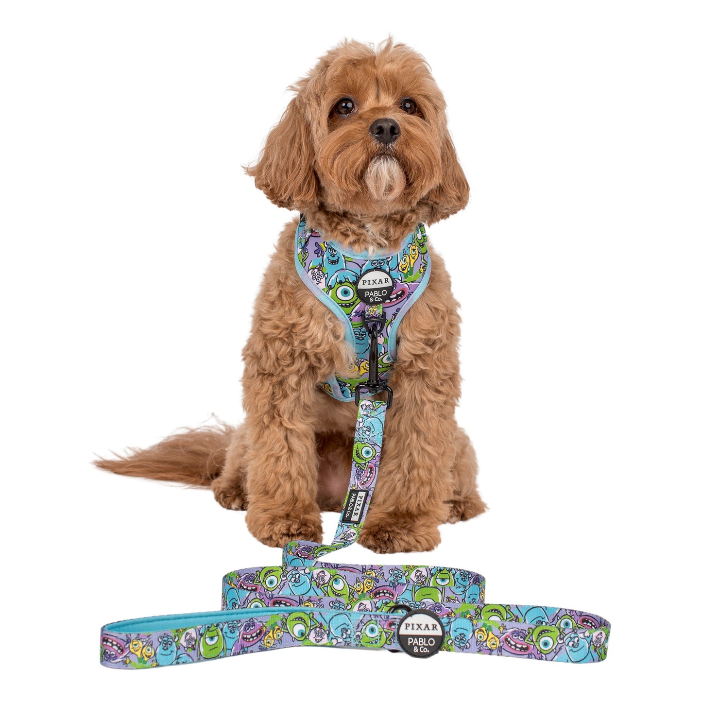 Monsters, Inc.: Dog Leash