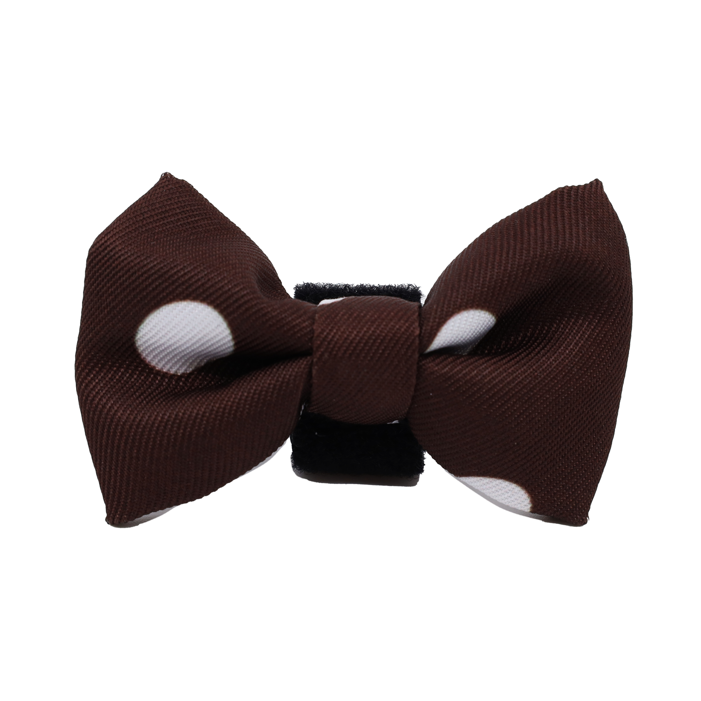 Polka Dots: Cat Bow Tie