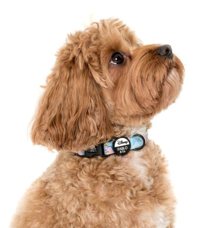 Dumbo in the Clouds: Collar