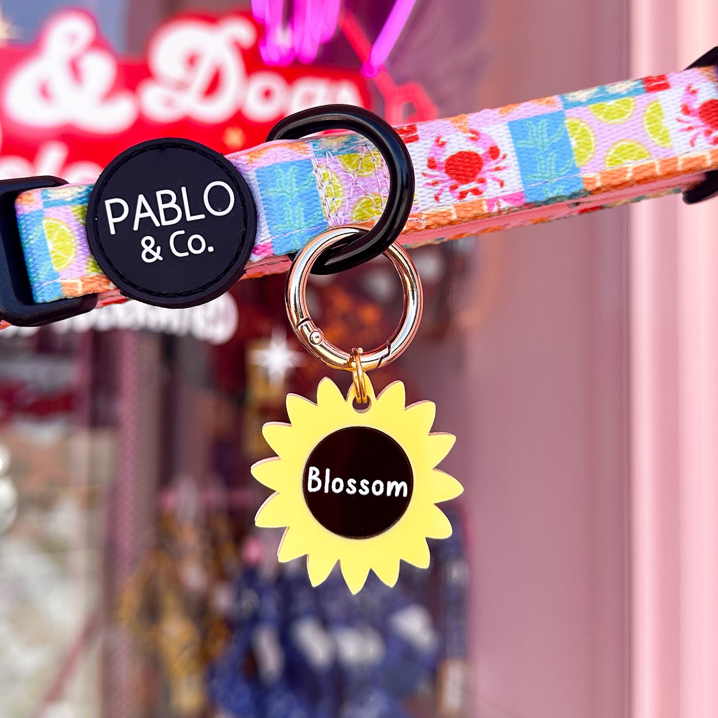 Personalised Pet ID Tag: Sunflower
