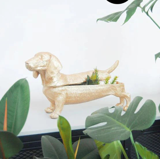 Dachshund Secret Bowl - Gold