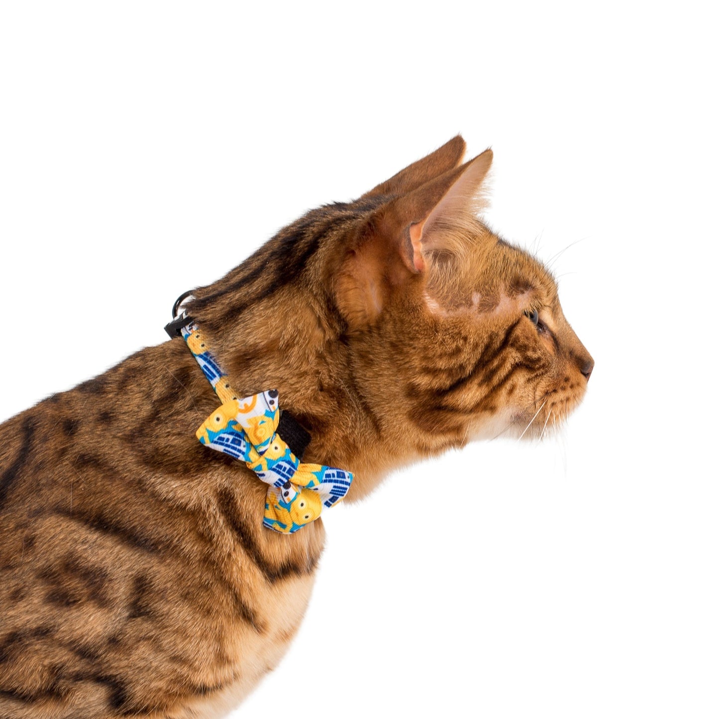 C-3PO & R2-D2: Cat Bow Tie