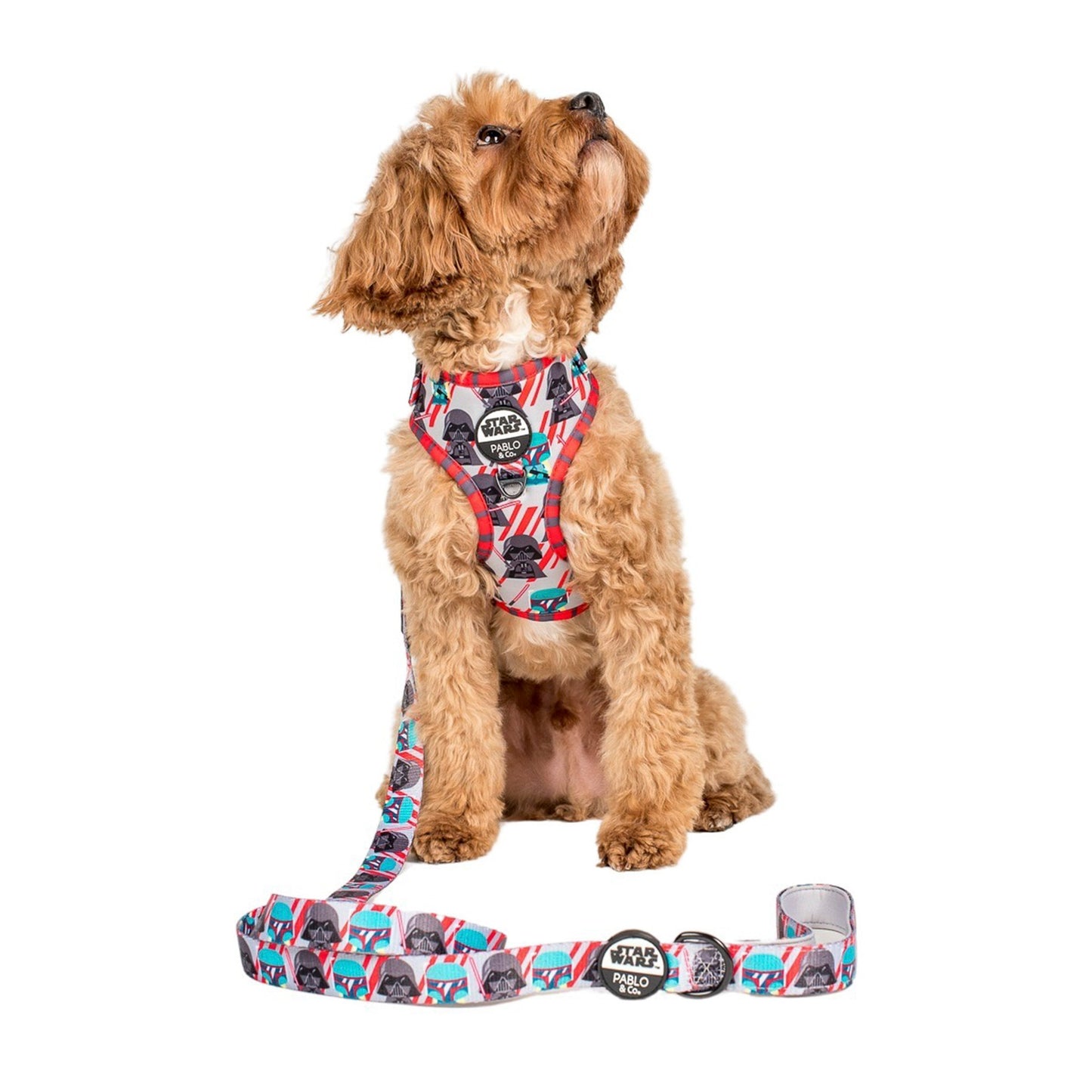 Boba Fett & Darth Vader: Dog Leash