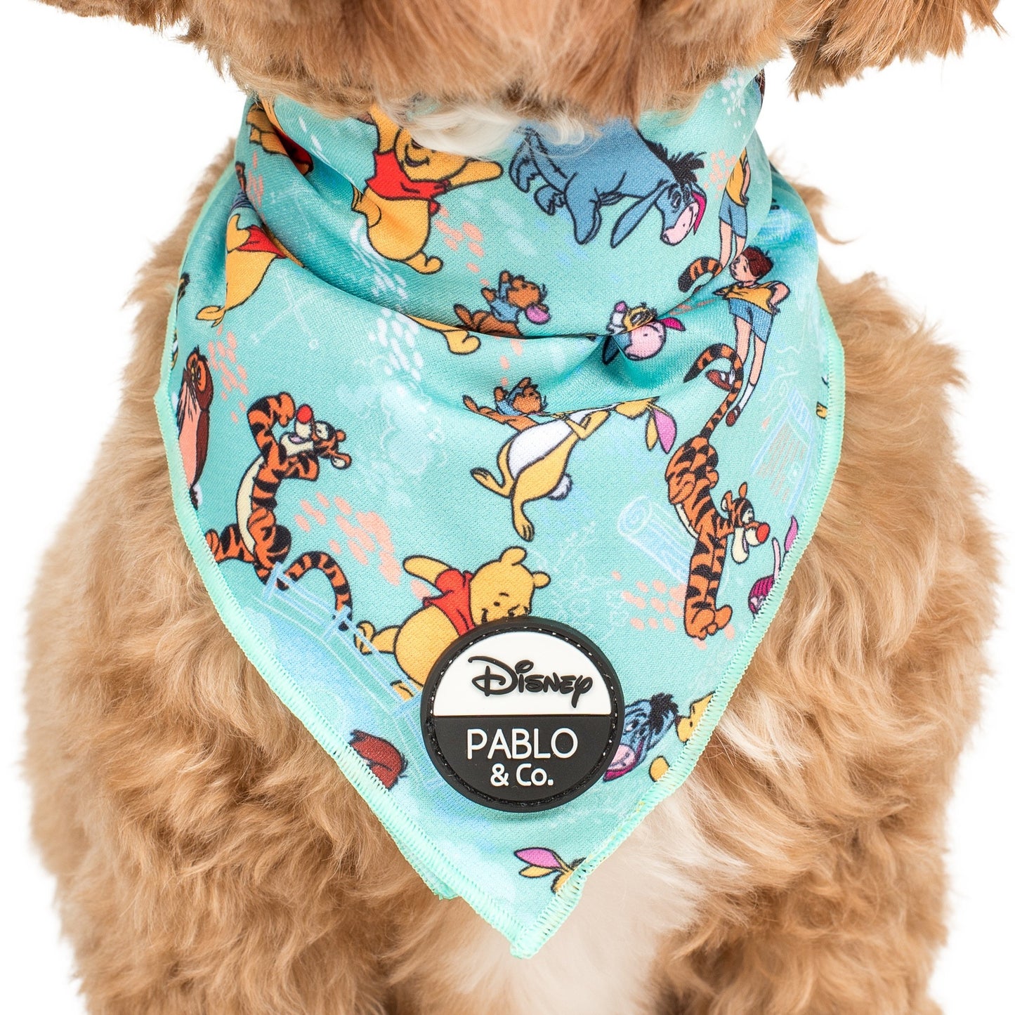 Winnie the Pooh & Forest Friends: Dog Bandana