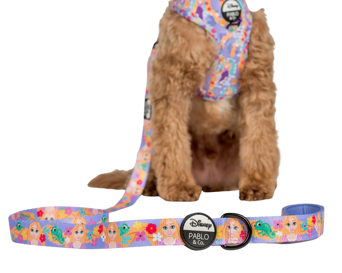 Rapunzel Dog Leash Pablo & Co. Boutique
